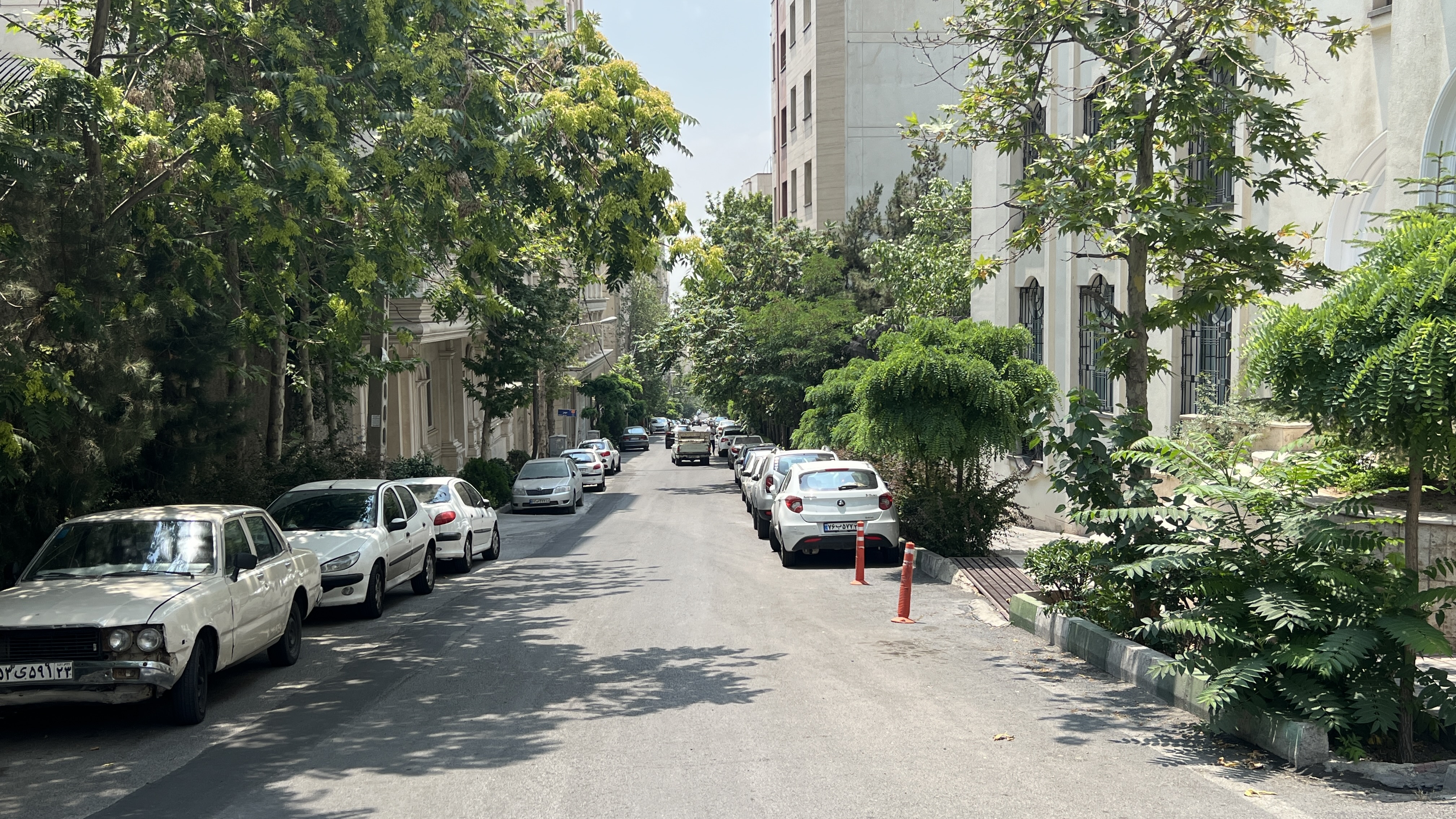 خیابان فرخ ولنجک