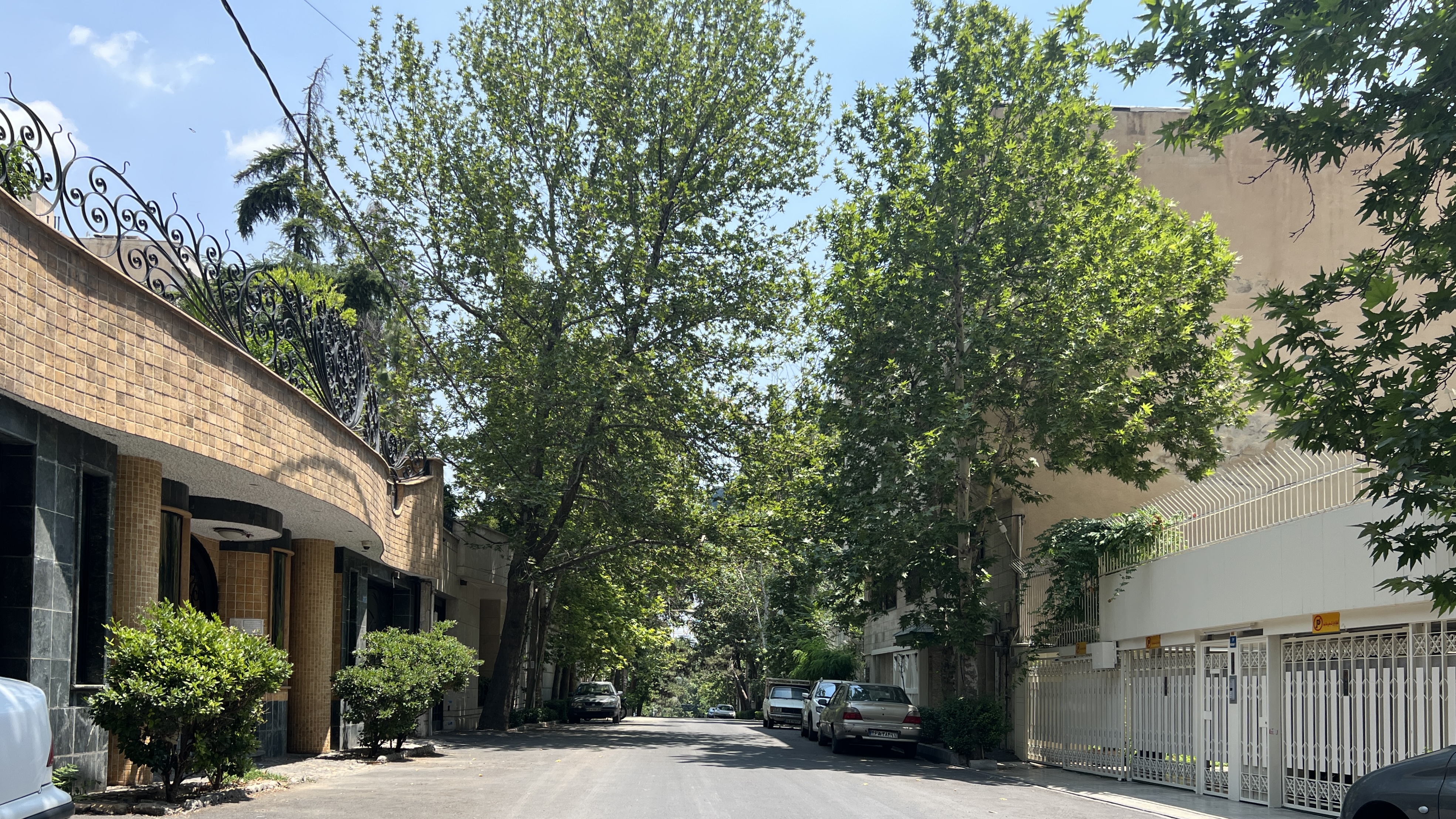 محله ولنجک تهران