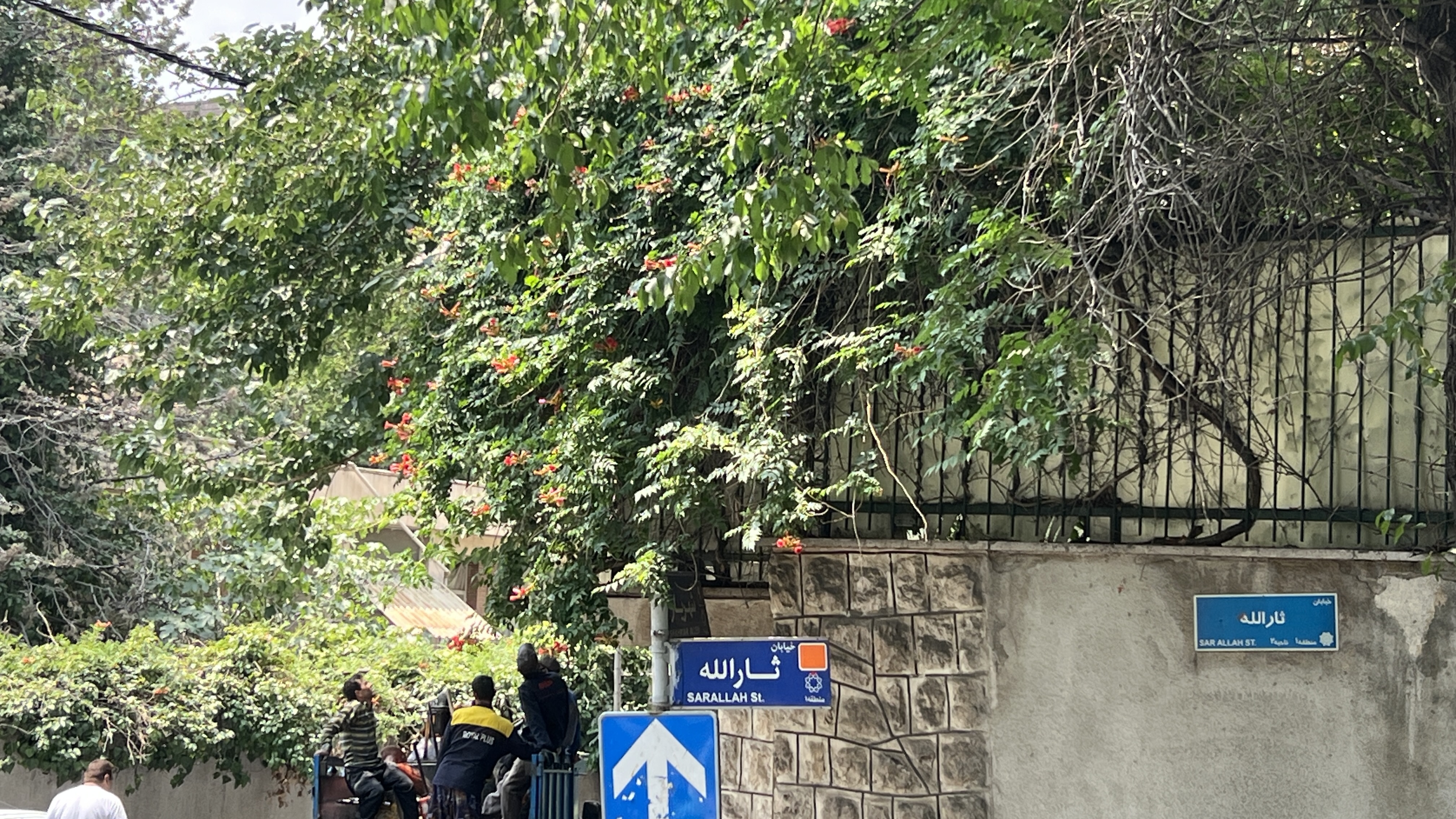 خیابان ثارالله ولنجک