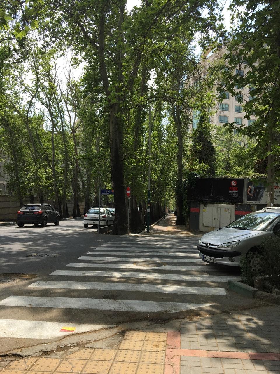 مشارکت کلنگی 380 متری در محمودیه