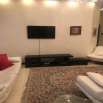 خرید آپارتمان 65 متري ١ خواب مبله شيك در زعفرانيه