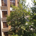 اجاره آپارتمان در اوين ٩٣ متر ٢ خواب تكواحدي