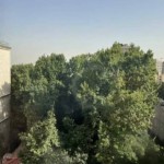 اجاره در برج پارادایس محمودیه