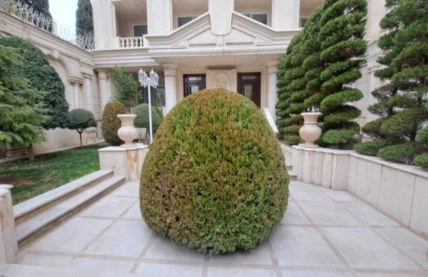 اجاره آپارتمان ۵۵۰ متری در محمودیه | لوکس، تک‌واحدی، فول امکانات